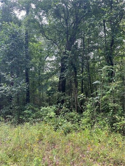 Recreational Property for sale in Walton County, Georgia
