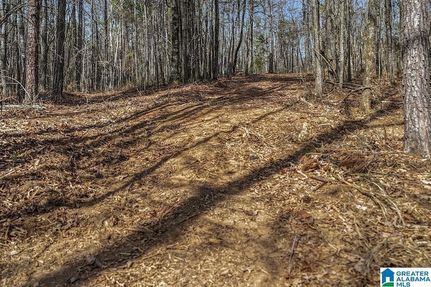 Recreational Property for sale in Shelby County, Alabama
