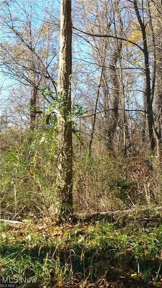Residential Property for sale in Belmont County, Ohio