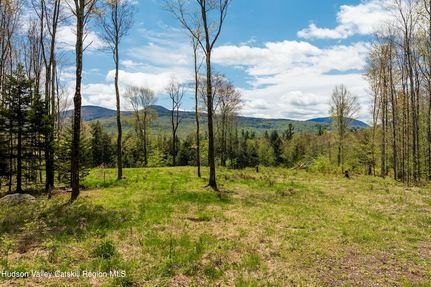 Undeveloped Land for sale in Greene County, New York