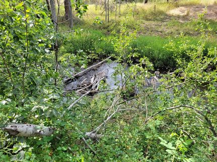 Ranch Property for sale in Flathead County, Montana