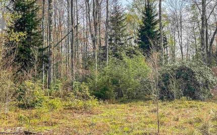 Farm Property for sale in Tucker County, West Virginia
