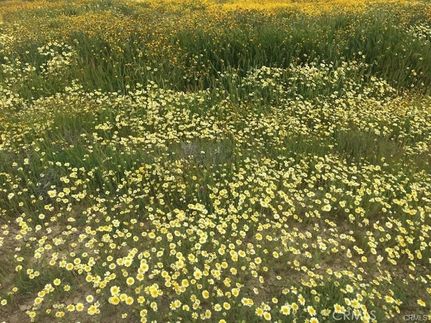 Farm Property for sale in San Luis Obispo County, California