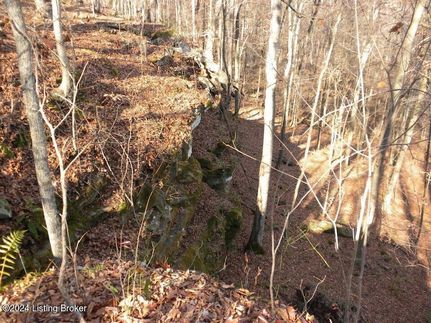 Recreational Property for sale in Warren County, Kentucky