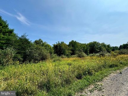 Undeveloped Land for sale in Hardy County, West Virginia