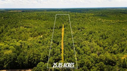 Undeveloped Land for sale in Polk County, Texas
