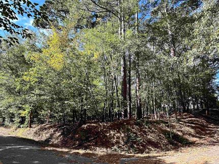 Ranch Property for sale in Chesterfield County, South Carolina