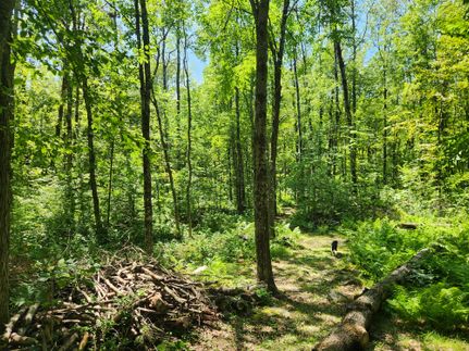 Farm Property for sale in Worcester County, Massachusetts