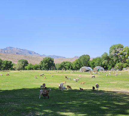 Ranch Property for sale in Lincoln County, Nevada