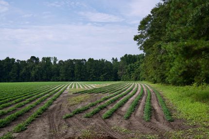 Farm Property for sale in Hampton County, South Carolina