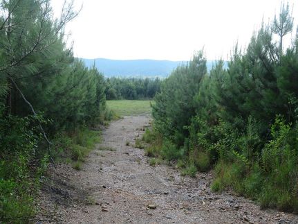 Ranch Property for sale in Randolph County, Alabama