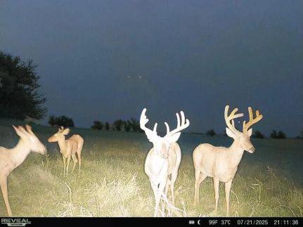 Ranch Property for sale in Grant County, Oklahoma