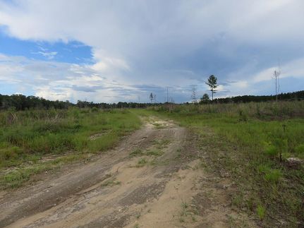 Farm Property for sale in Geneva County, Alabama