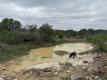 Farm Property for sale in Crockett County, Texas
