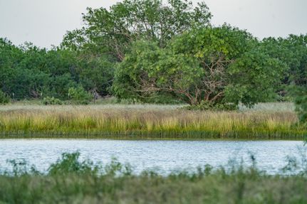 Farm Property for sale in Bee County, Texas
