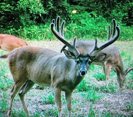 Ranch Property for sale in Hinds County, Mississippi