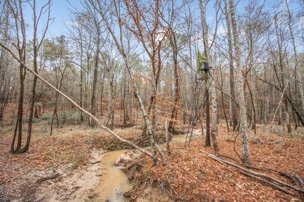 Property for sale in West Feliciana Parish, Louisiana