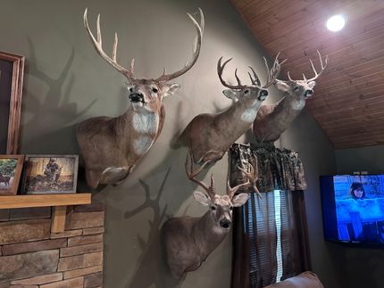Ranch Property for sale in Williamson County, Illinois