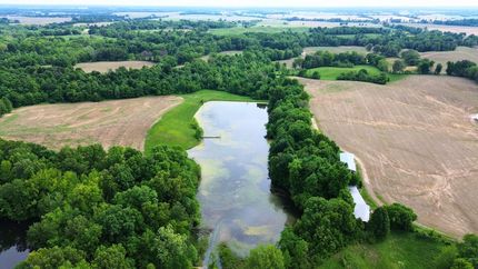 Timberland Property for sale in Obion County, Tennessee