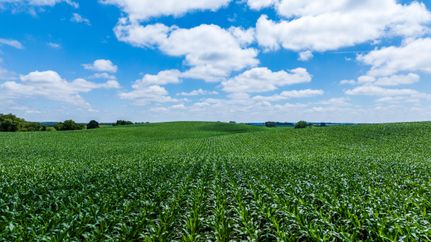 Farm Property for sale in Otter Tail County, Minnesota