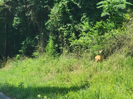 Farm Property for sale in Benton County, Tennessee