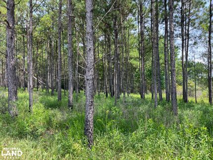 Undeveloped Land for sale in George County, Mississippi