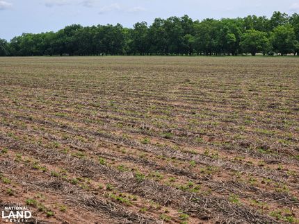Ranch Property in Dale County, Alabama