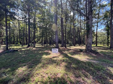 Ranch Property for sale in Sabine Parish, Louisiana