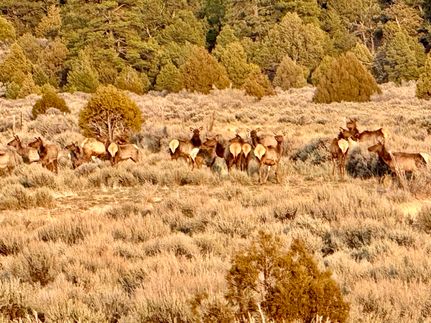 Ranch Property for sale in Rio Arriba County, New Mexico