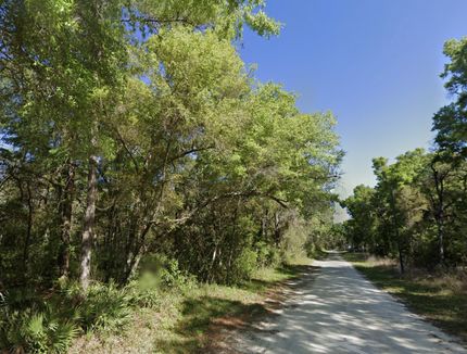 Farm Property for sale in Dixie County, Florida