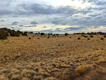Undeveloped Land for sale in Apache County, Arizona