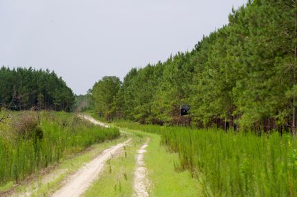 Farm Property for sale in Barnwell County, South Carolina