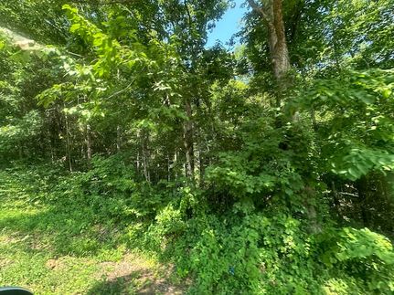 Ranch Property for sale in Clay County, Tennessee