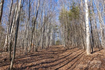 Farm Property for sale in Ashe County, North Carolina