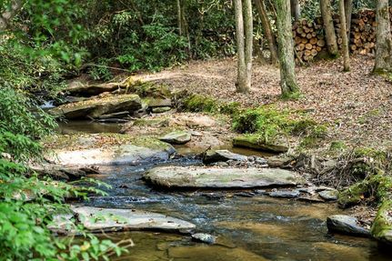 Farm Property for sale in Fannin County, Georgia