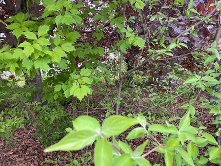 Farm Property for sale in Coos County, New Hampshire