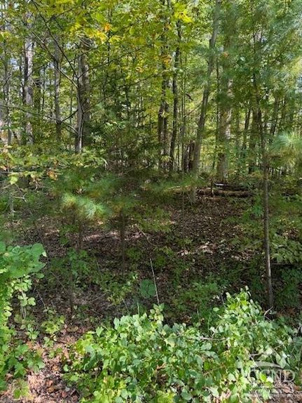 Undeveloped Land for sale in Greene County, New York