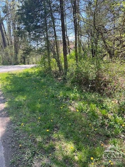 Farm Property for sale in Greene County, New York