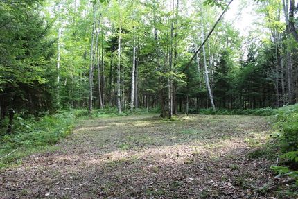 Timberland Property for sale in Hamilton County, New York