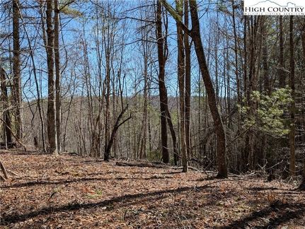 Farm Property for sale in Ashe County, North Carolina
