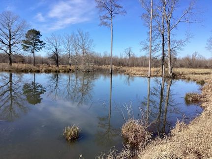 Ranch Property for sale in Nevada County, Arkansas