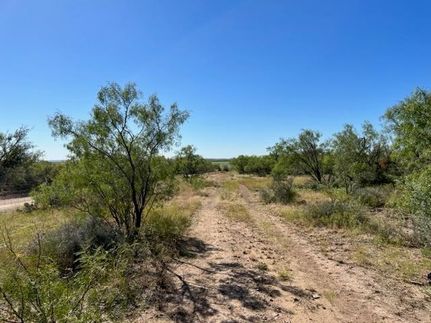 Residential Property for sale in Concho County, Texas