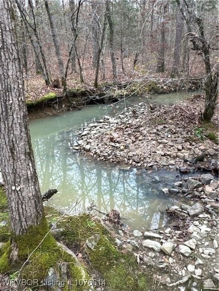 Undeveloped Land for sale in Polk County, Arkansas