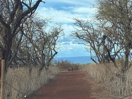 Timberland Property for sale in Maui County, Hawaii