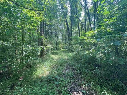Recreational Property for sale in Obion County, Tennessee