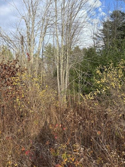 Timberland Property for sale in York County, Maine