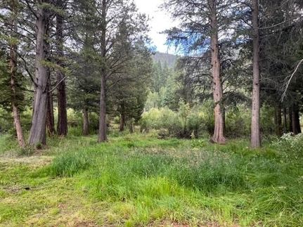 Ranch Property for sale in Mono County, California