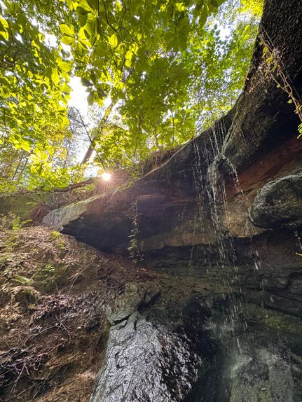 Hunting Land for sale in Walker County, Alabama