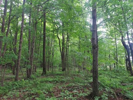 Undeveloped Land for sale in Price County, Wisconsin