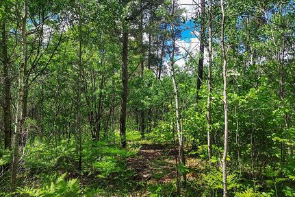 Recreational Property for sale in Price County, Wisconsin
